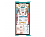 WhiteCoat Clipboard® Trifold - Teal Physical Therapy Edition